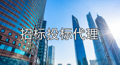 招標(biāo)、投標(biāo)